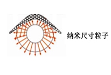 纳米尺寸粒子